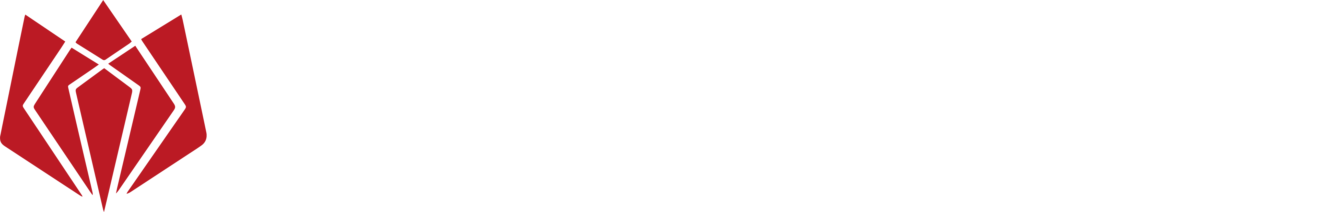 Formonix Logo